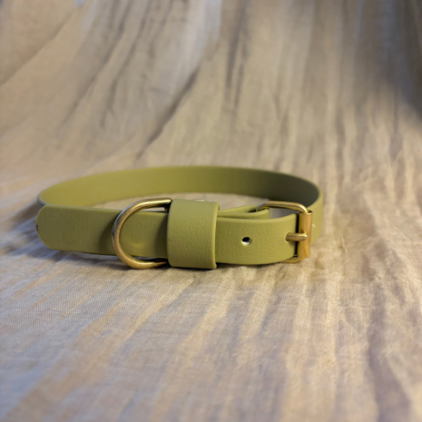 Grönt enfärgat halsband i Biothane
