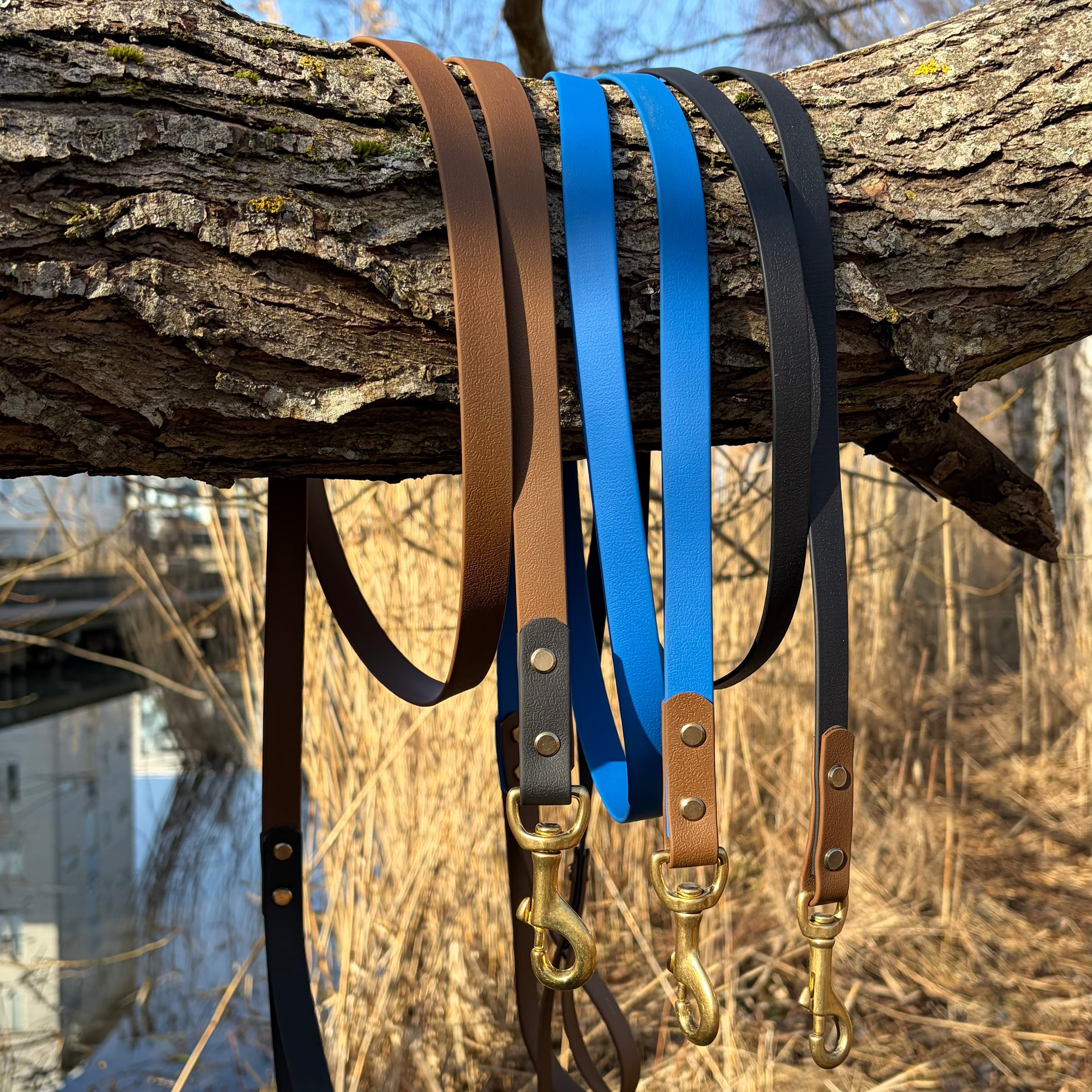 Tvåfärgat Biothane koppel