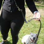 Crossbody koppel för flera hundar