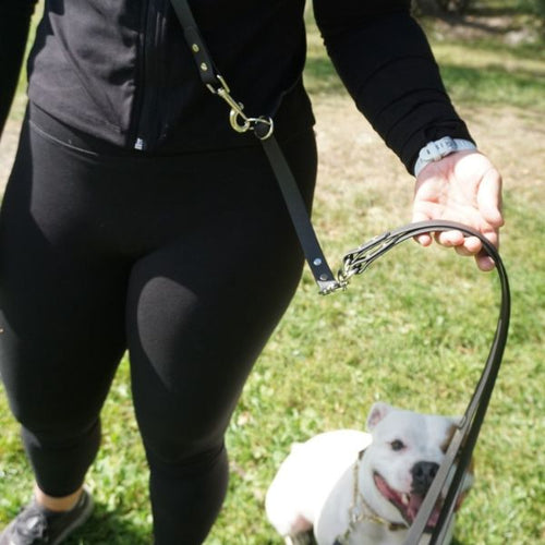 Crossbody koppel för flera hundar