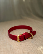 Ett rött hundhalsband med mssing detaljer.